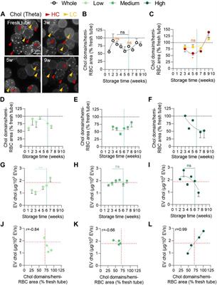 Variability of extracellular vesicle release during storage of red blood cell concentrates is associated with differential membrane alterations, including loss of cholesterol-enriched domains